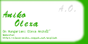 aniko olexa business card